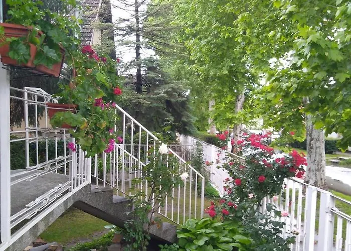 Sandrea I سوبوتيتْسا