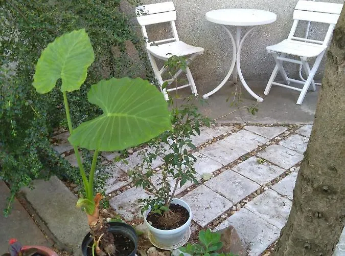 Sandrea I سوبوتيتْسا